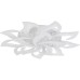 Потолочная светодиодная люстра Natali Kovaltseva Olimp LED LAMPS 81335-74067