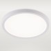 Потолочный светильник Natali Kovaltseva Plain LED LAMPS 81113/2C