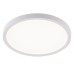 Потолочный светильник Natali Kovaltseva Plain LED LAMPS 81113/2C