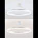 Потолочная люстра Natali Kovaltseva Finam LED LAMPS 81121/1C