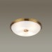 Настенно-потолочный светильник Odeon Light Pelow 4956/4