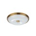 Настенно-потолочный светильник Odeon Light Pelow 4956/4