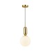Подвесной светильник Odeon Light Okia 4669/1