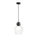 Подвесной светильник Odeon Light Blacky 5023/1
