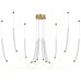 Подвесная люстра Odeon Light Monella 6639/70L