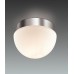 Потолочный светильник Odeon Light Minkar 2443/1A