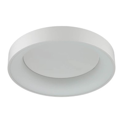 Потолочный светодиодный светильник Odeon Light Sole 4062/50CL