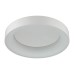Потолочный светодиодный светильник Odeon Light Sole 4062/50CL