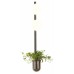 Бра Odeon Light Flower 4681/2WA