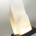 Настольная лампа декоративная Odeon Light Foros 5438/12TL