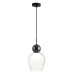 Подвесной светильник Odeon Light Blacky 2 5023/1