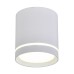 Накладной светильник Omnilux Capurso OML-102409-05
