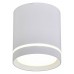Накладной светильник Omnilux Capurso OML-102409-05