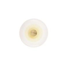 Настенный светильник Paolo Castelli Golden Disc