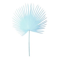 Искусственные цветы Pols Potten Fan palm leaf light blue