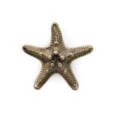 Ручка-кнопка Pull Cast Linckia Polished Brass