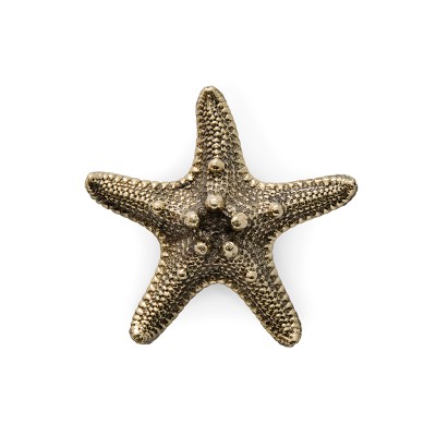 Ручка-кнопка Pull Cast Linckia Polished Brass