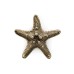 Ручка-кнопка Pull Cast Linckia Polished Brass