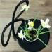 Стул Qeeboo Ribbon black - Set of 2