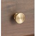 Ручка-кнопка Rejuvenation Perles d.2.5 Brushed Satin Brass