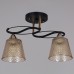 Потолочный светильник Reluce 06087-0.3-02 BK+FG