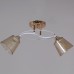 Потолочный светильник Reluce 06003-0.3-02 FG+WT