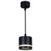 Подвесной светильник Reluce 53002-0.9-001LD GX53 BK