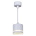 Подвесной светильник Reluce 53002-0.9-001LD GX53 WT