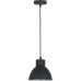 Подвесной светильник Reluce 08032-0.9-01S BK