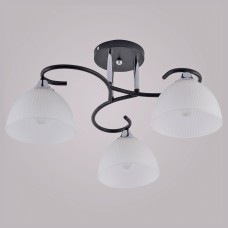 Люстра на штанге 01635-0.3-03 BK+CR