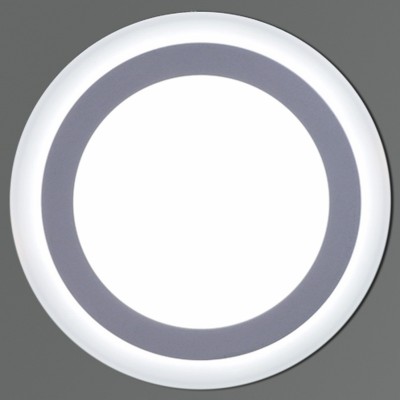 Накладной светильник 70518-9.0-001TM LED18+6W WH/DL+DL