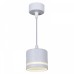 Подвесной светильник Reluce Technical 53002 53002-0.9-001LD GX53 WT