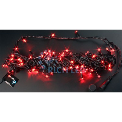 Гирлянда Нить [10 м] RL-S10C-24V-B/R
