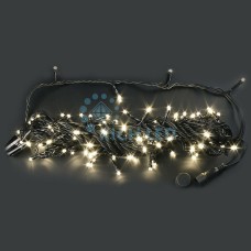 Гирлянда Нить RL-S10CF-220V-CT RL-S10CF-220V-CT/WW