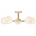 Люстра на штанге Rivoli Chiara Б0068452