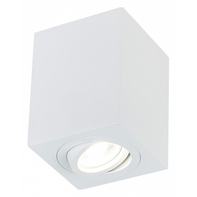 Накладной светильник SIMPLE STORY 2038 2038-1CLW