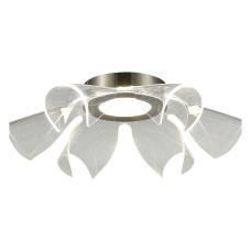 Накладной светильник ST-Luce Fairy SL6235.102.20