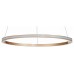 Подвесной светильник ST-Luce ST604 OUT ST604.243.22
