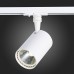 Светильник на штанге ST-Luce Cami ST351.546.20.36