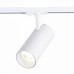 Светильник на штанге ST-Luce Mono ST350.546.30.24