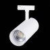 Светильник на штанге ST-Luce Mono ST350.546.30.24