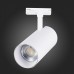 Светильник на штанге ST-Luce Mono ST350.546.30.24