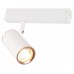 Светильник на штанге ST-Luce SKYLINE 220 ST504.526.01
