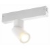 Светильник на штанге ST-Luce SKYLINE 220 ST506.502.01