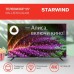Телевизор Starwind SW-LED55UG403, 55