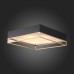 Накладная люстра ST-Luce SL1127.422.05
