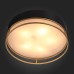 Накладная люстра ST-Luce SL1127.432.05