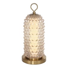 Настольная лампа ST Luce Saguaro SL6144.304.01