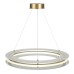 Подвесная люстра ST Luce Fagy SL6245.203.01