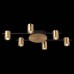 Потолочная люстра ST Luce Veroli SL1207.402.06